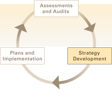 Strategy Development